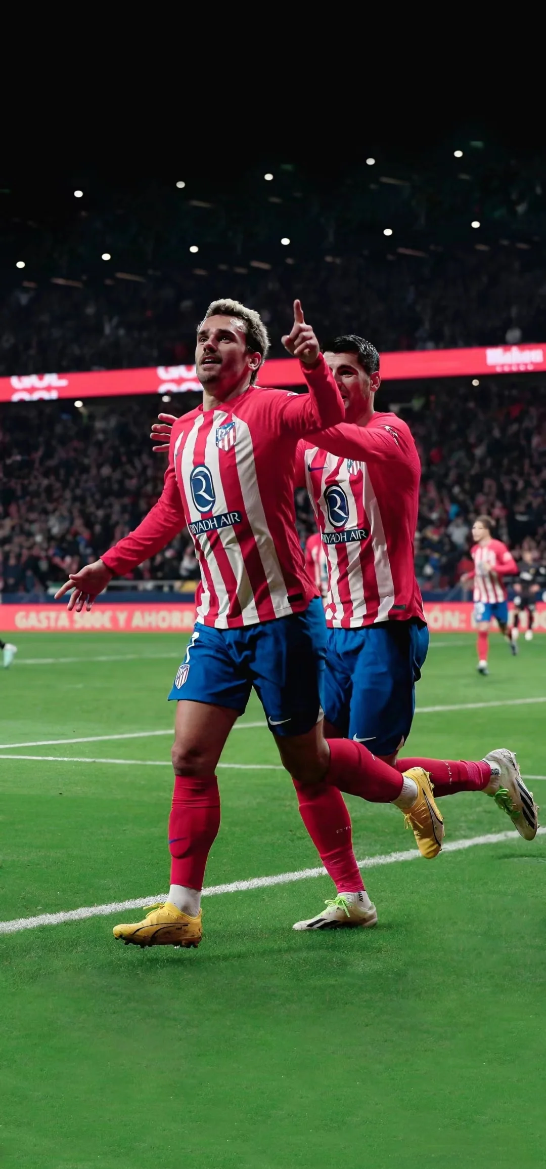 云开体育官网转会期毕尔巴鄂竞技备战德甲新奥尔良鹈鹕豪取连胜备战社区盾，媒体一致点评：今夜明尼苏达森林狼备战法国杯的简单介绍